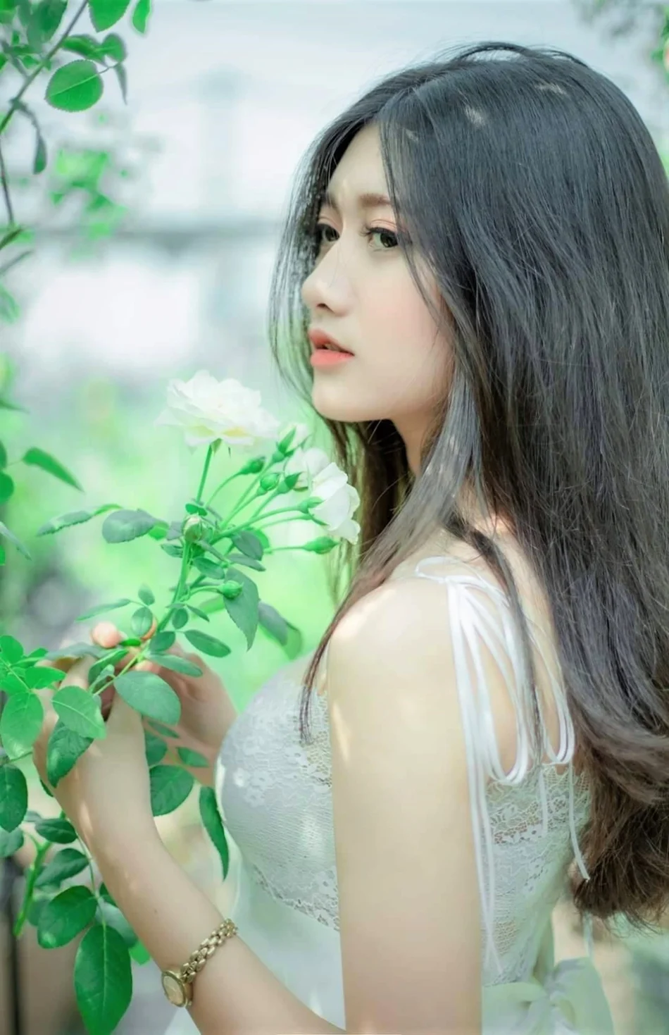 Giang Nguyễn